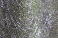 Anagach fibreglass roof work